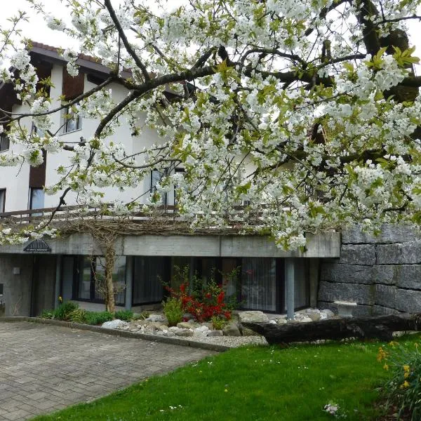 BnB im Grossacker, hotel in Münchwilen