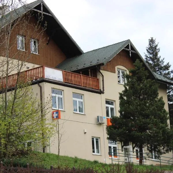 VITA MINERALIS Szczawnica, hotel v destinaci Szczawnica