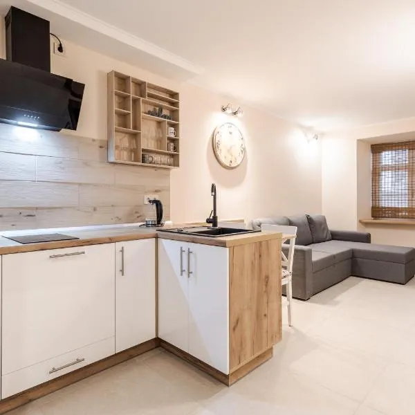 Staroevreyska timber apartment, hotel ve Lvově
