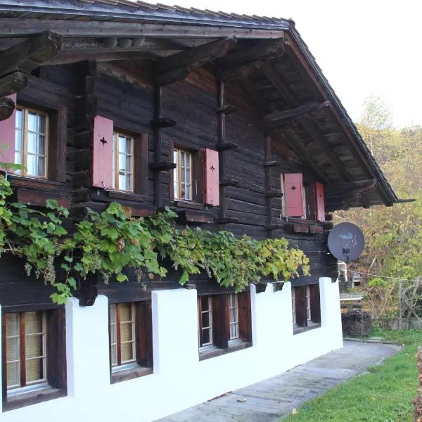 Chalet Bergwelt - Panoramic view, hotel in Frutigen