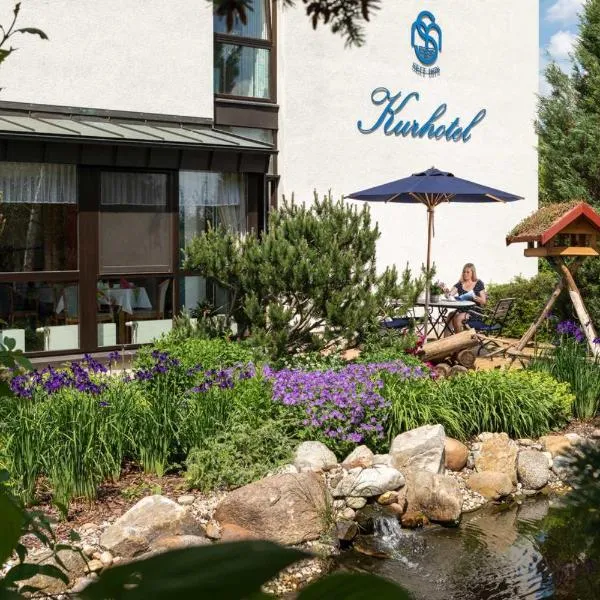 Kurhotel Bad Schmiedeberg, hotel en Bad Schmiedeberg