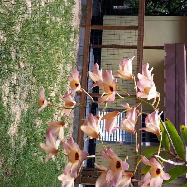 Mini casa (kit net), hotell sihtkohas Florianópolis