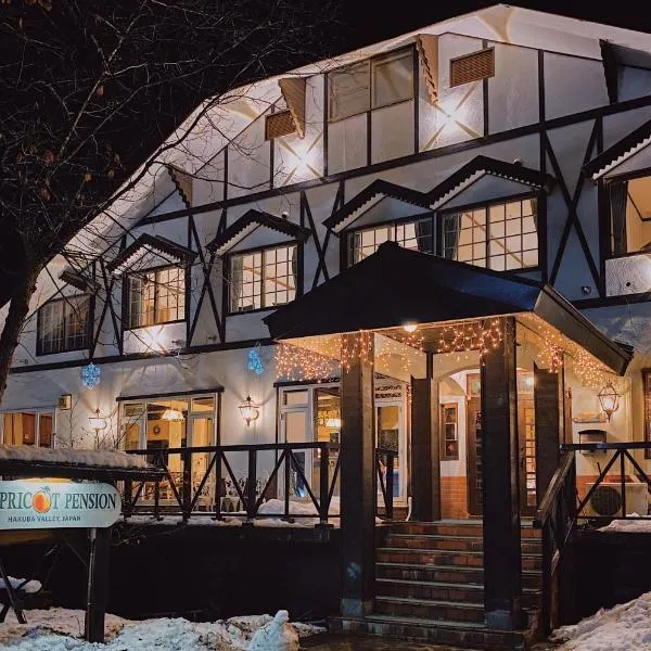 Apricot Pension, hotel en Hakuba