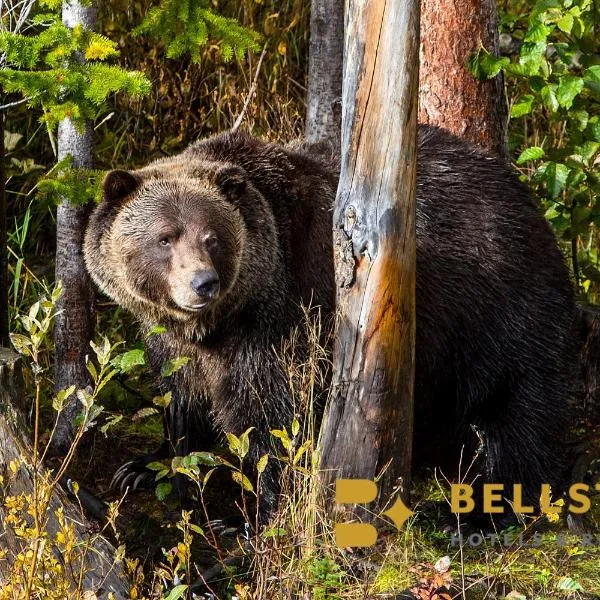 Palliser Lodge — Bellstar Hotels & Resorts, hôtel à Golden