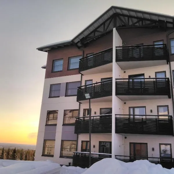 Ylläs Chalet 8208, Hotel in Ylläs