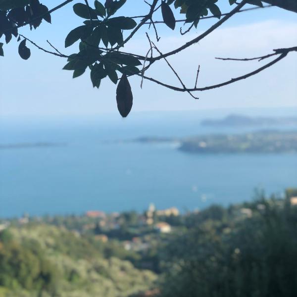 La casa di Andrea