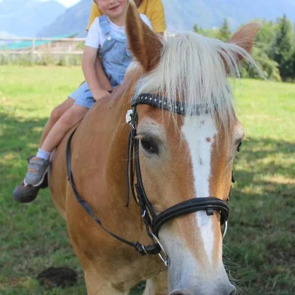 Lamplhof, hotel in Wiesing