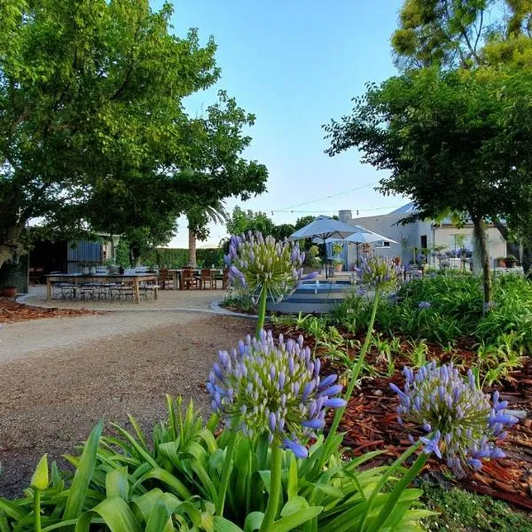 PicardiPlace, hotel a Rawsonville