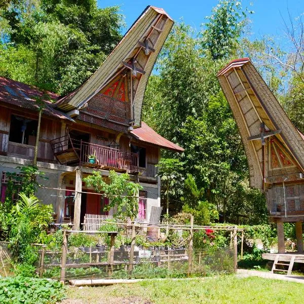 Ne Pakku Manja Family Home, hotel v destinaci Rantepao