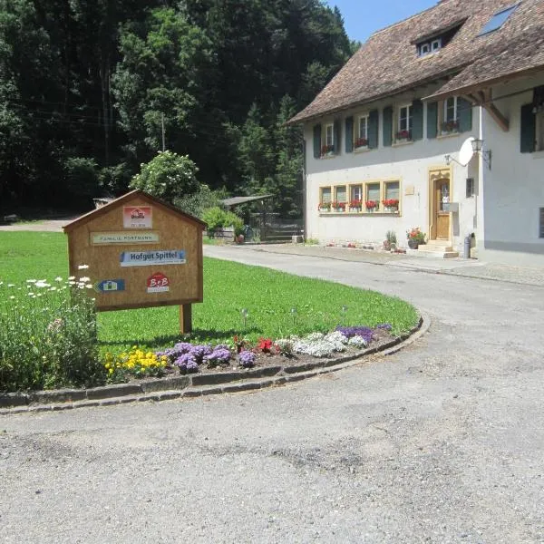 Gast und Hof Spittel, hotel in Langenbruck