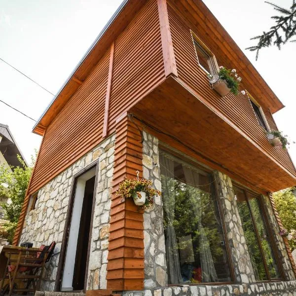 Cece's home, hotel in Mavrovo