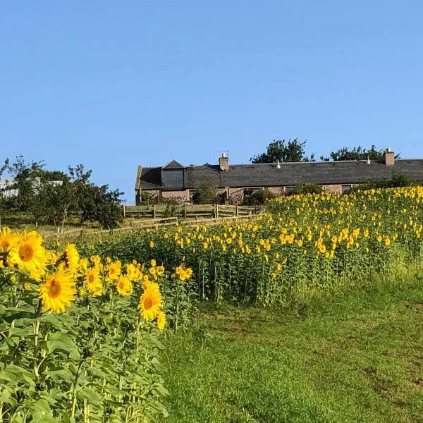 Garden Bank Cottage, hotel in Kelso
