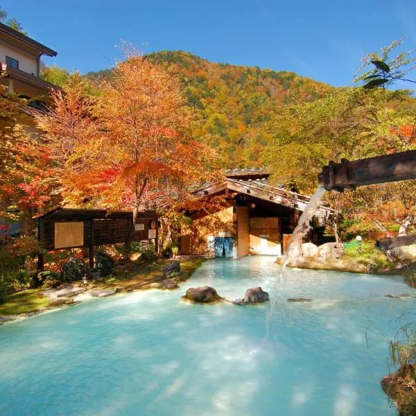 泡汤旅馆，位于松本的酒店