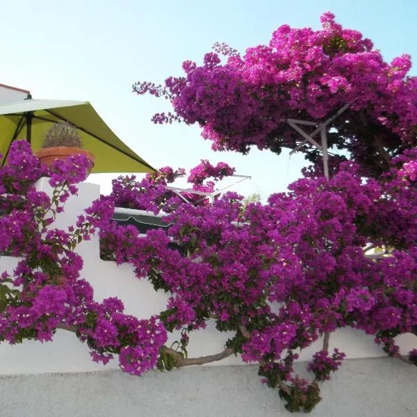 Hotel Villa Cecilia, hotel a Ischia