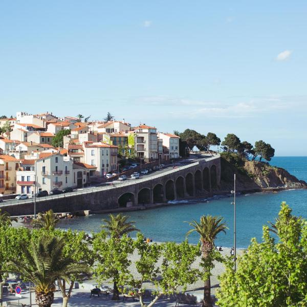 Regina's Banyuls - Top view