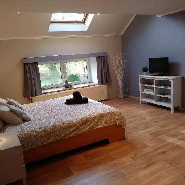 Petites-Tailles - chambre d'hôtes, hotelli kohteessa Vielsalm
