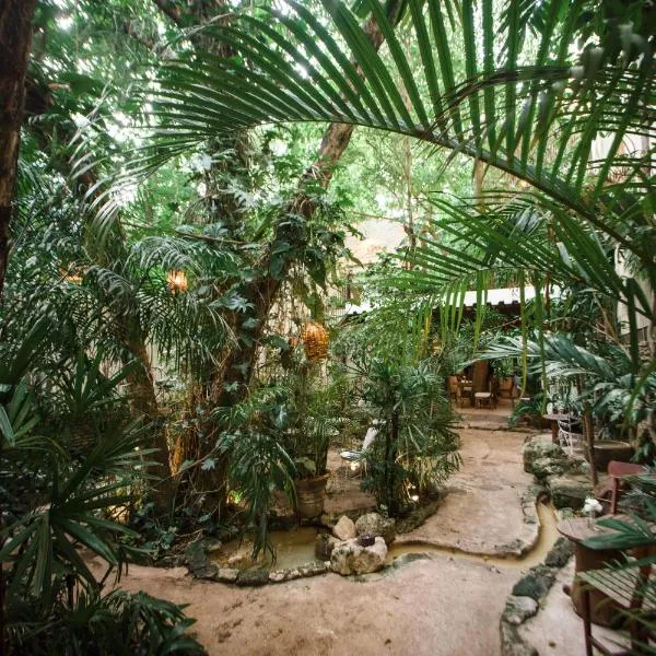 Hotel La Semilla a Member of Design Hotels, hotel din Playa del Carmen