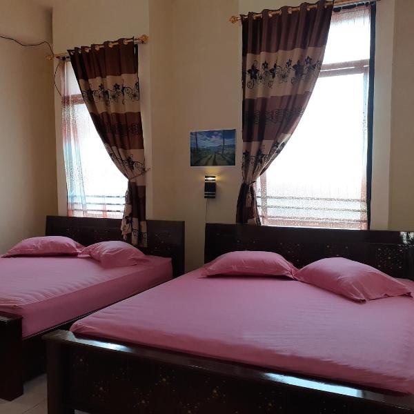 Viola Guest House Hotel