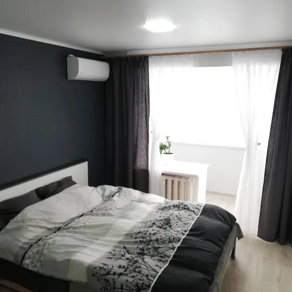 Квартира，位于尼古拉耶夫的酒店