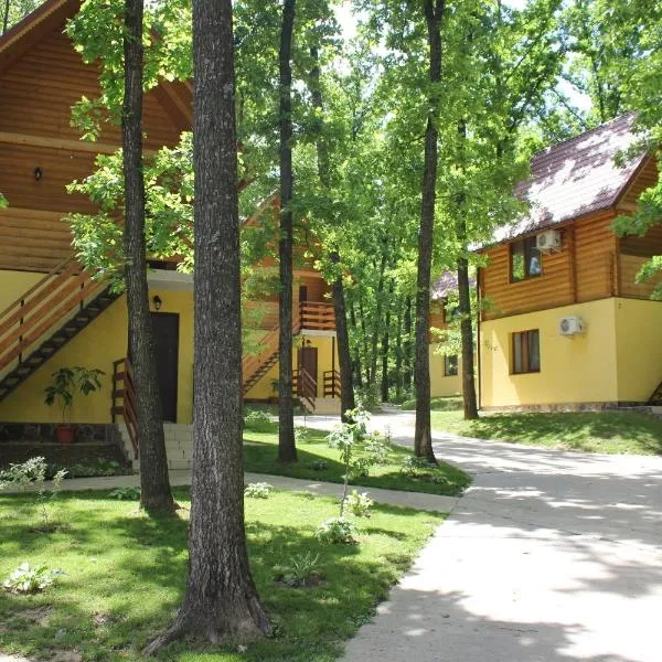 Вілія, hotel in Lomachintsy