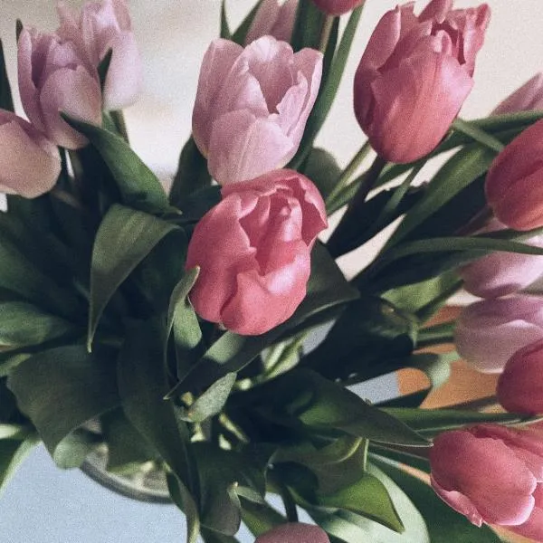 B&B Le 36, hotel en Bruselas