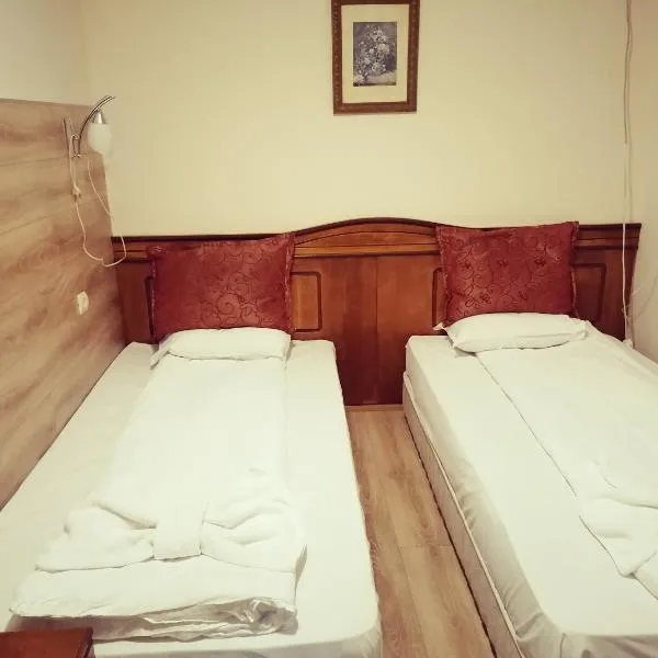 Guest House Nani, Hotel in Assenowgrad