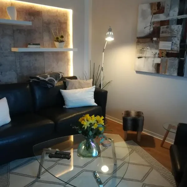 Appartment Fasanenhof Klinikum und Uni nah mit Netflix, hotel v destinaci Kassel