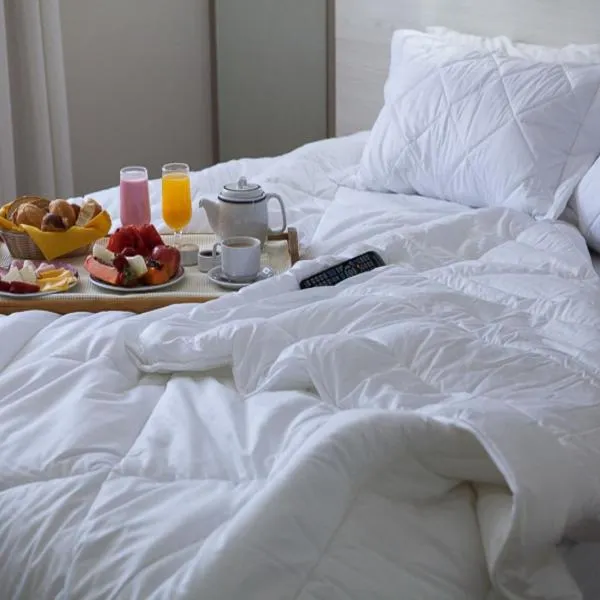 Hotel Plaza Camboriú, hotel in Balneário Camboriú