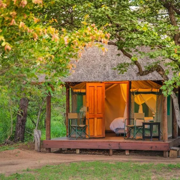 Shindzela Tented Camp, hotel v destinaci Timbavati Game Reserve