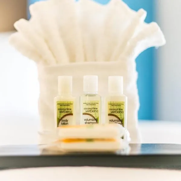 Holiday Inn & Suites Chattanooga Downtown by IHG, hotel i Chattanooga