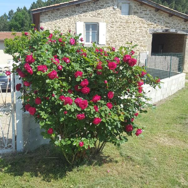 Studio au cœur de la nature