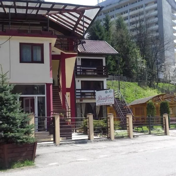 Passiflora, hotel in Voineasa