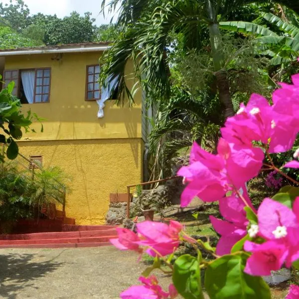 La Familia Guest House and Natural Farm, hotel in Port Antonio