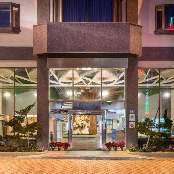 Yadi Hotel, hotel v destinaci Puli
