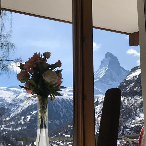 Millennium top view, Hotel in Zermatt