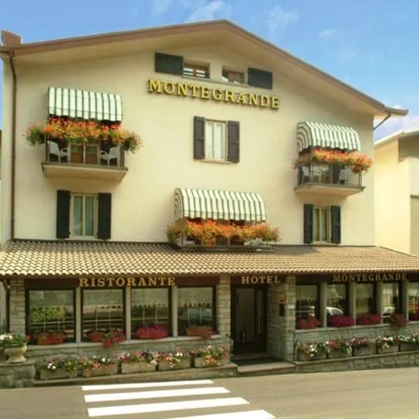 Hotel Montegrande, hotell i Vidiciatico