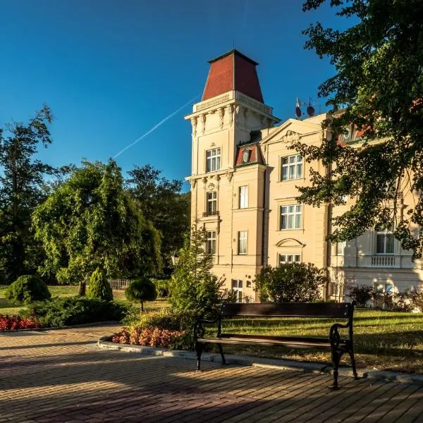 Bristol Vila Tereza, hotel in Karlovy Vary
