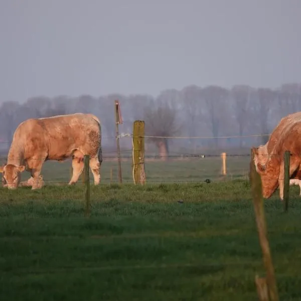 B&B Bij Bronckhorst, hotel in Steenderen