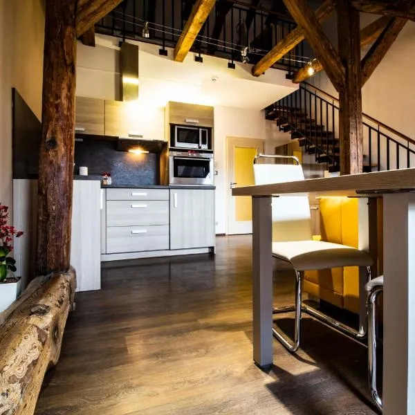 Residence U Černé Věže České Budějovice, hôtel à České Budějovice