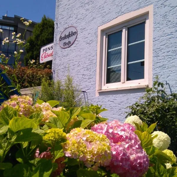 Pension Elisabeth - Rooms & Apartments, hotel in Salzburg