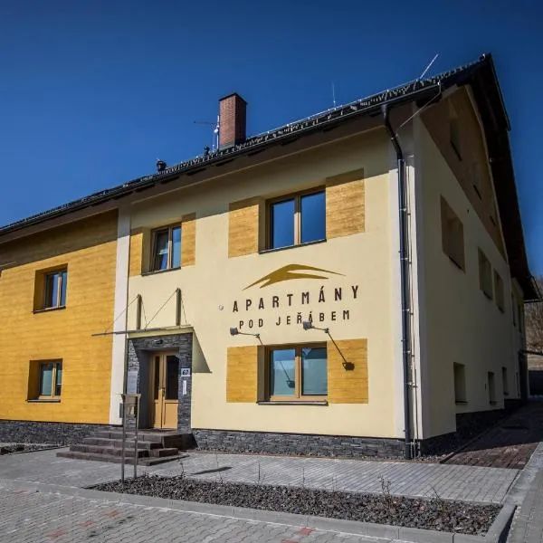 Apartmány pod Jeřábem, Šanov 67, Červená Voda, ξενοδοχείο σε Cervena Voda