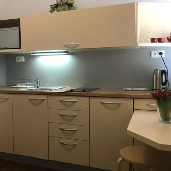Apartmán Innova, ξενοδοχείο σε Zlín