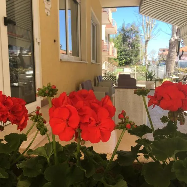 Hotel Villa Rinaldini, hotel in Rimini