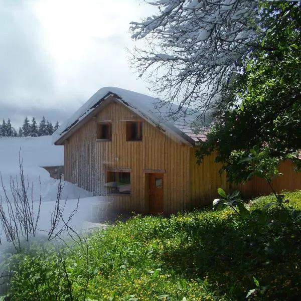 Gite du Brin d'Herbe, hotel in Pontarlier