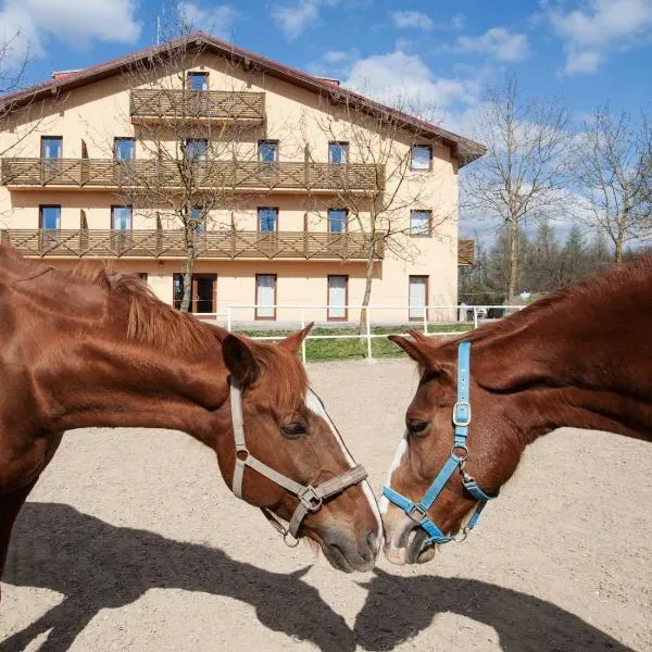 Hotel Panska Licha, ξενοδοχείο στο Μπρνο