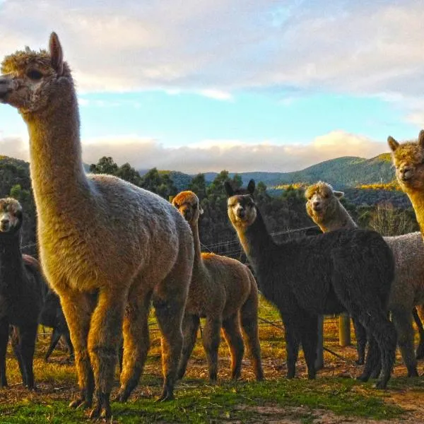 Valley Farm Vineyard Villas, hotel in Healesville