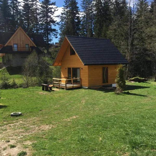 U Bartków, hotel v destinaci Kościelisko