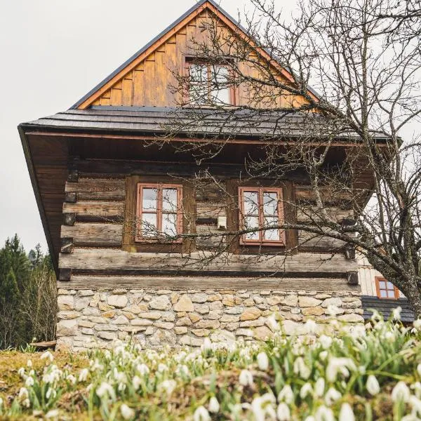 Chata pod Rozsutcom, hotel in Terchová