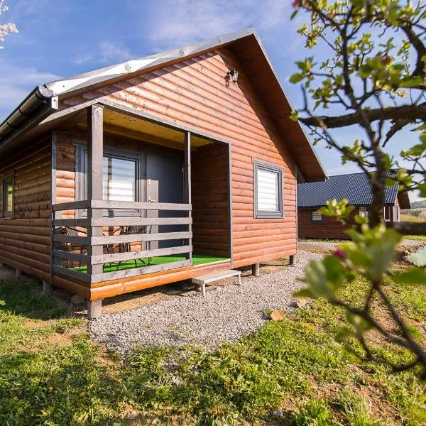 Domki Pod Roztóczką、Hoczewのホテル