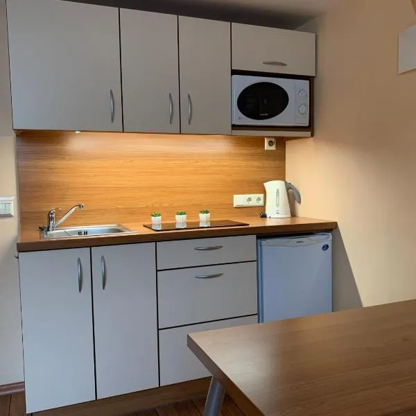 Pas Jūrate Villa Hubertus, hotel en Juodkrantė